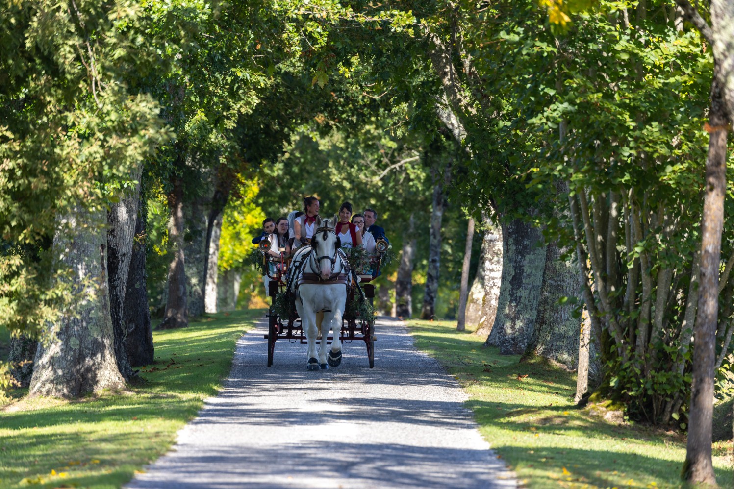 Animations culturelles au cheval Les Traits de Gaia