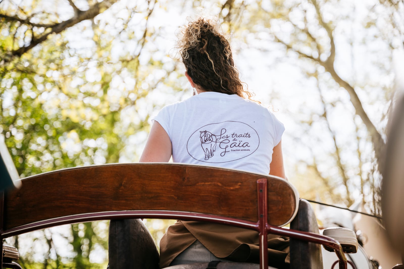 Attelage evenementiel Les Traits de Gaia pour mariage