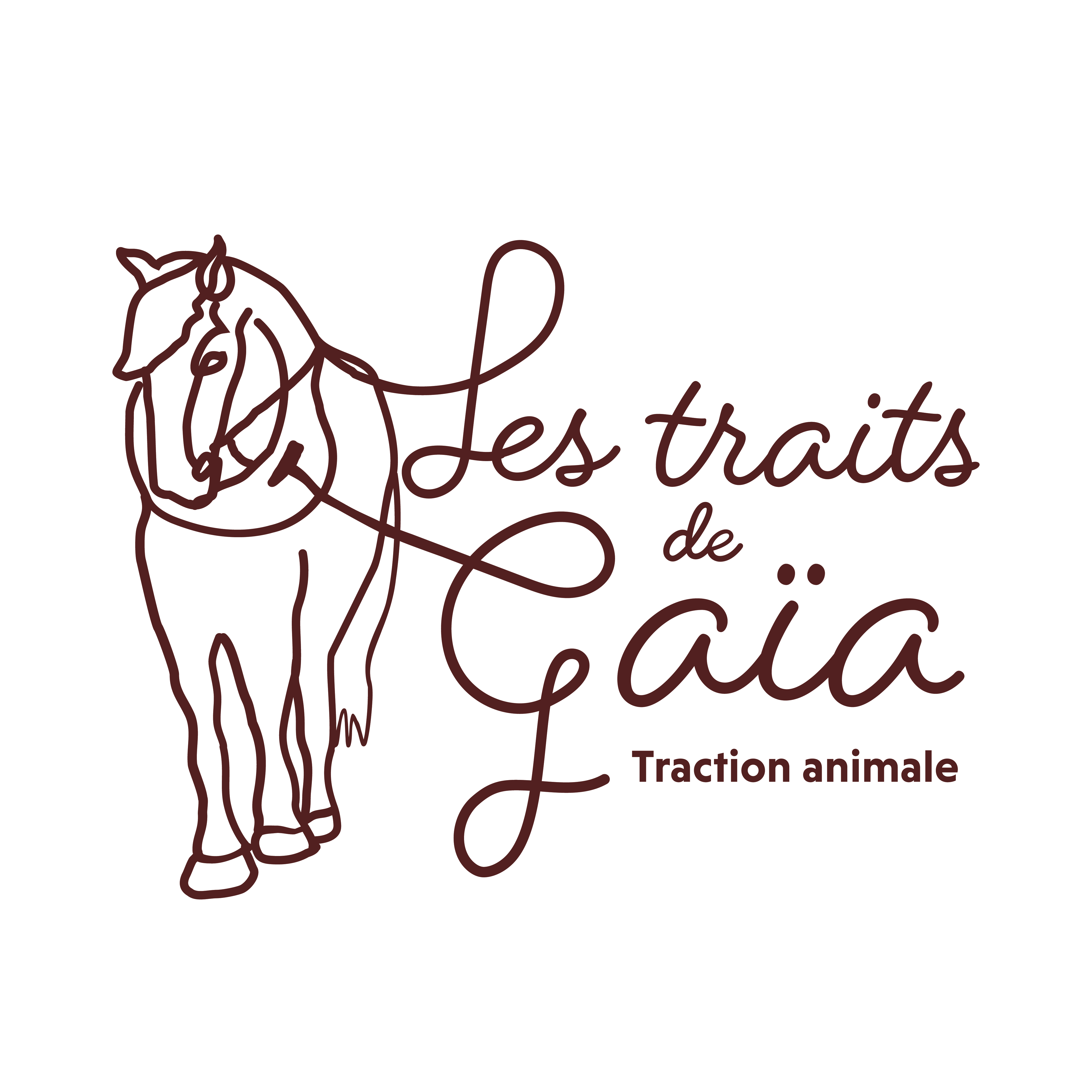 Logo Les Traits de Gaia